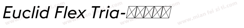 Euclid Flex Tria字体转换